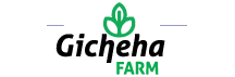 gicheha farm